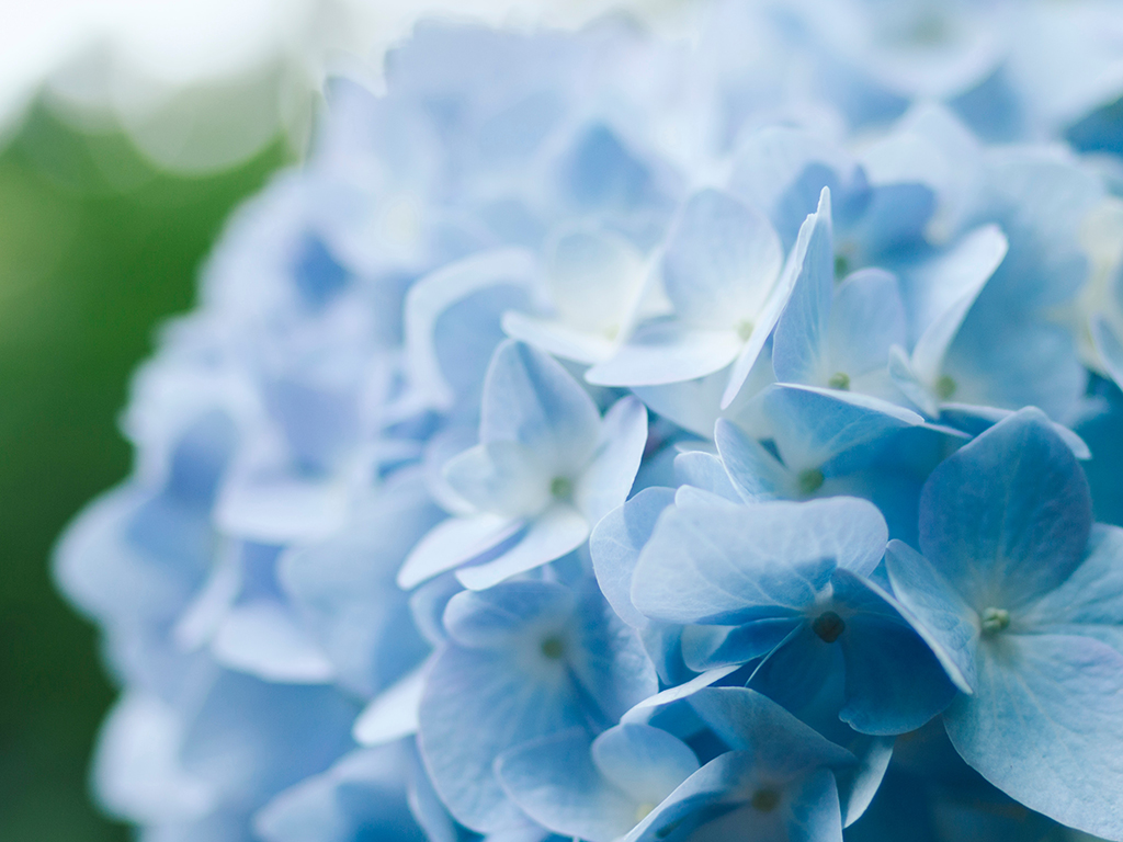 Grief Diaries: How to Help the Newly&nbsp;Bereaved